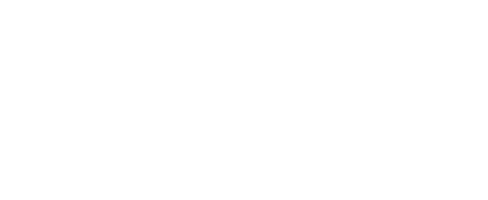 Logo du Registre des Noms d'Étoiles